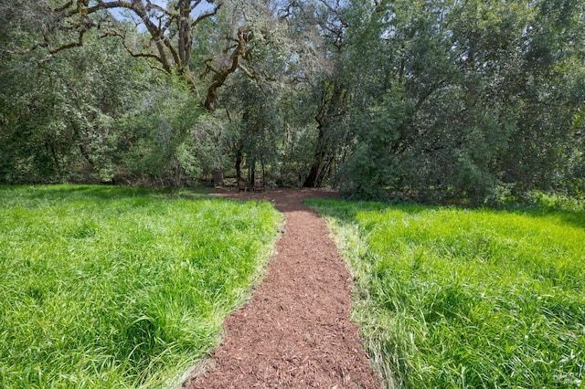 4071 Bones Rd, Sebastopol, CA 95472 - view of property's community