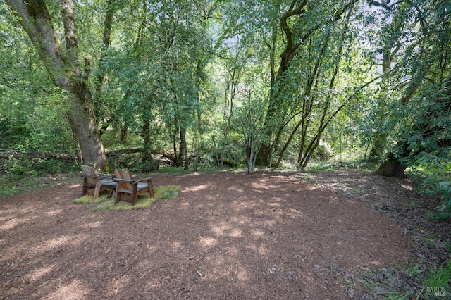 4071 Bones Rd, Sebastopol, CA 95472 - view of yard featuring a view of trees
