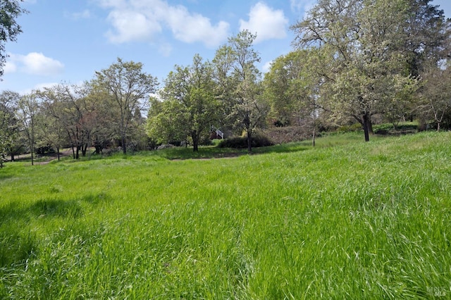 4071 Bones Rd, Sebastopol, CA 95472 - view of undeveloped land