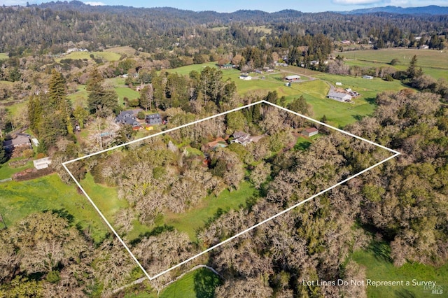 4071 Bones Rd, Sebastopol, CA 95472 - aerial overview of property's location with a mountain backdrop, a heavily wooded area, and property parcel outlined