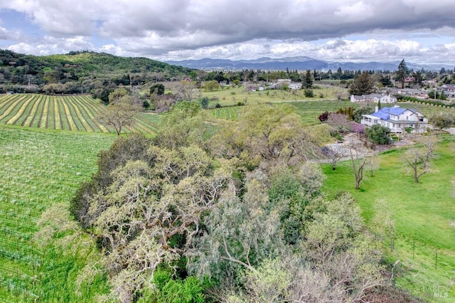 aerial view featuring a mountain view and a rural view