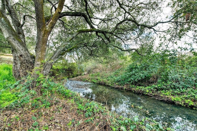 water view featuring a view of trees