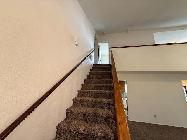 staircase featuring carpet flooring
