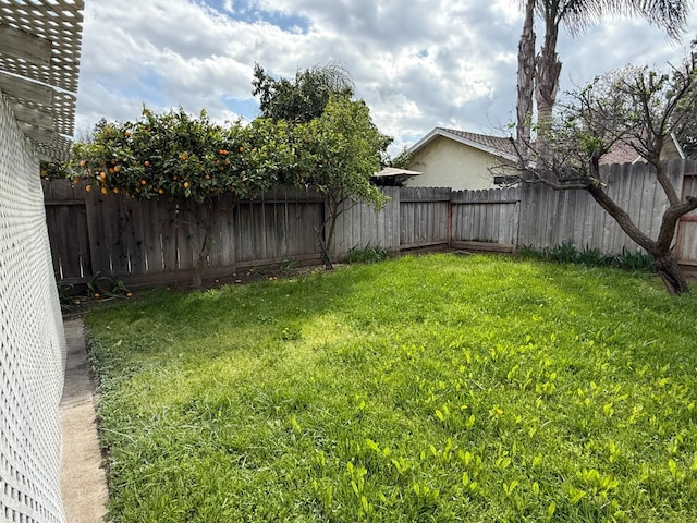 view of yard featuring a fenced backyard