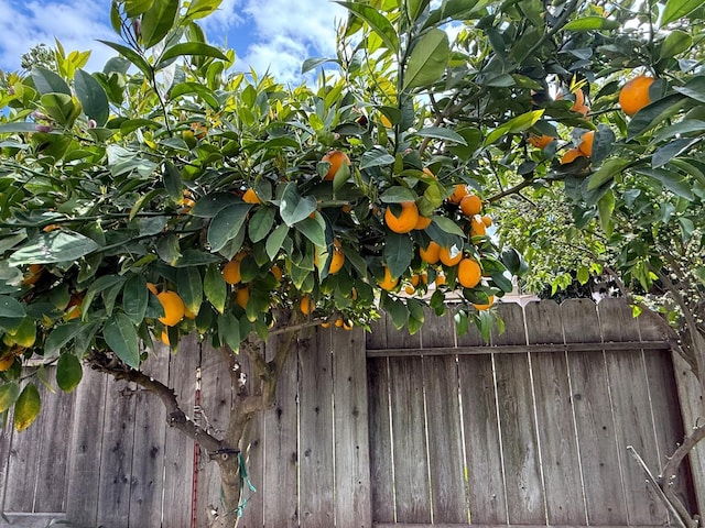 exterior details featuring fence
