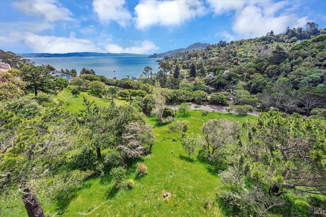 bird's eye view with a forest view and a water view