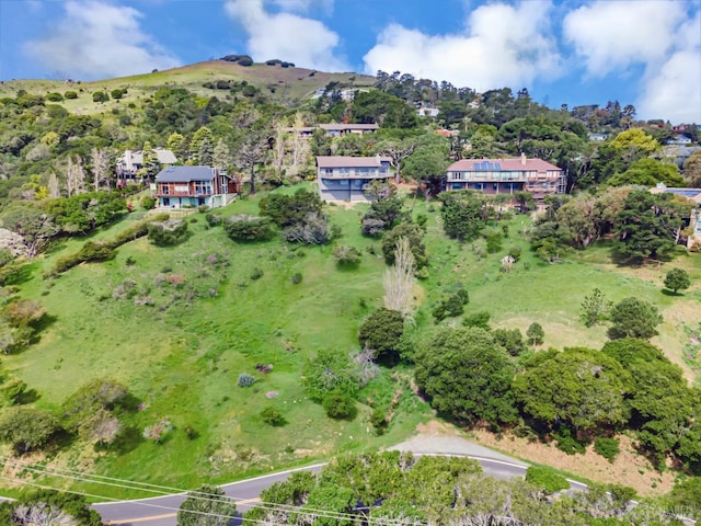 drone / aerial view
