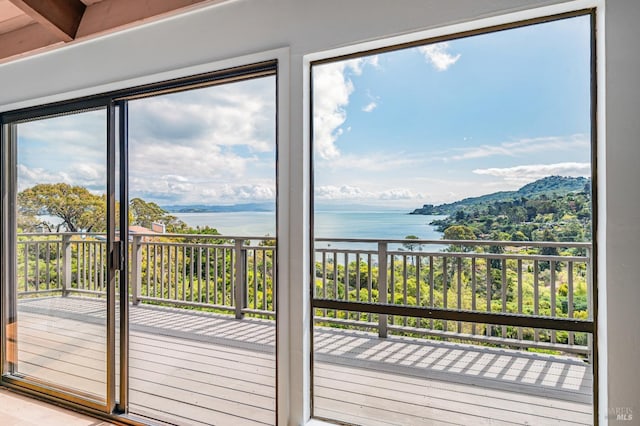 doorway featuring a wealth of natural light and a water view