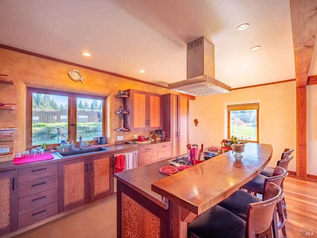 26300 Albion Ridge Rd, Albion, CA 95410 - kitchen featuring plenty of natural light, brown cabinets, island range hood, and a sink