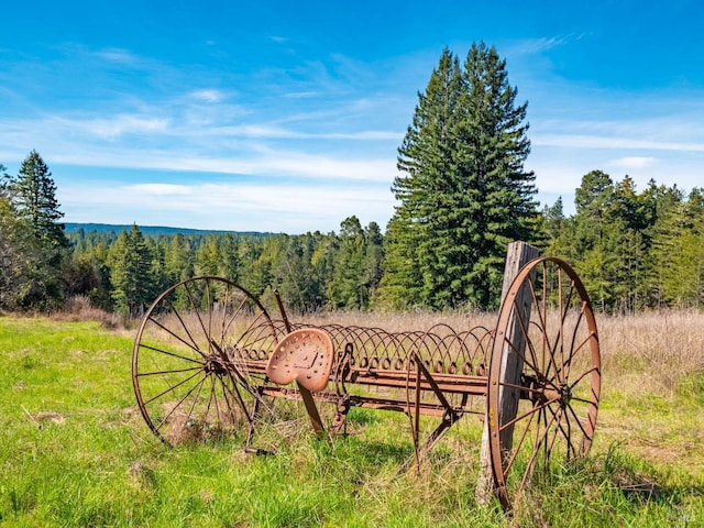 26300 Albion Ridge Rd, Albion, CA 95410 - view of yard featuring a forest view