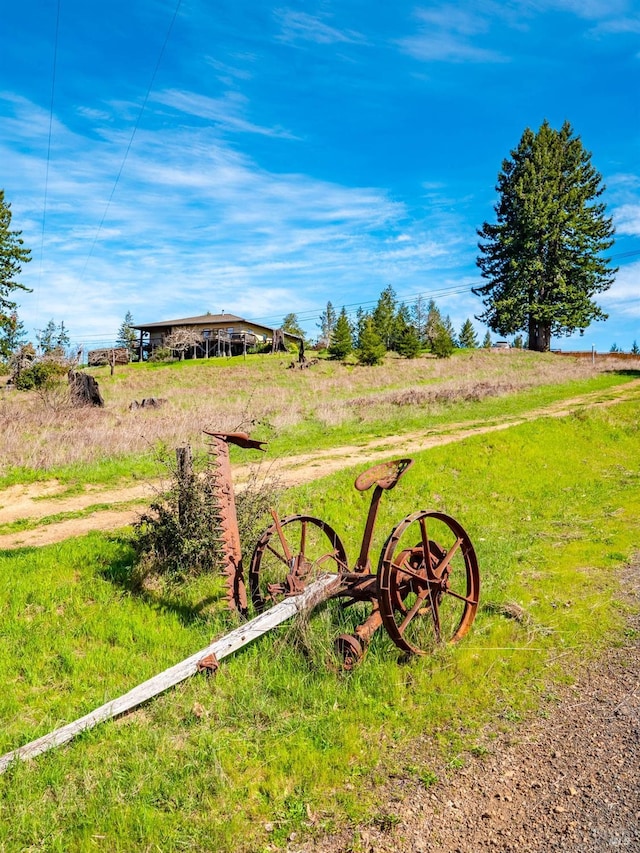 26300 Albion Ridge Rd, Albion, CA 95410 - view of yard