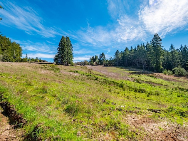 26300 Albion Ridge Rd, Albion, CA 95410 - view of yard