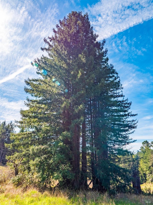 26300 Albion Ridge Rd, Albion, CA 95410 - exterior space
