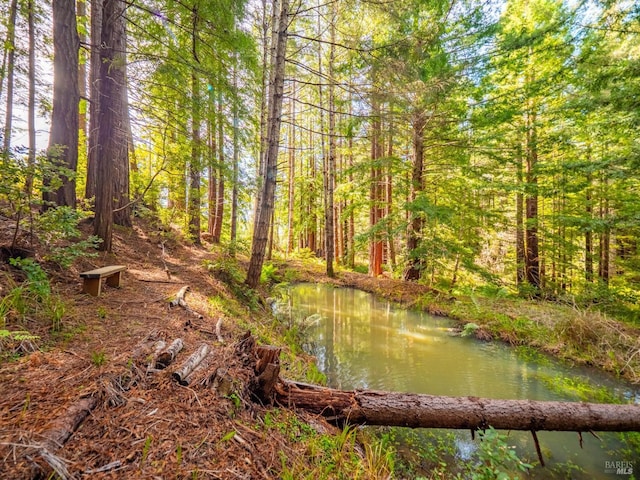 26300 Albion Ridge Rd, Albion, CA 95410 - property view of water with a wooded view
