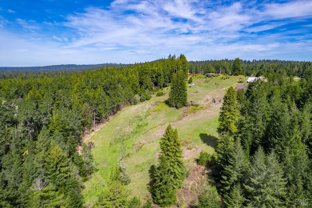 26300 Albion Ridge Rd, Albion, CA 95410 - aerial view with a view of trees