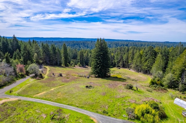 26300 Albion Ridge Rd, Albion, CA 95410 - aerial view featuring a wooded view