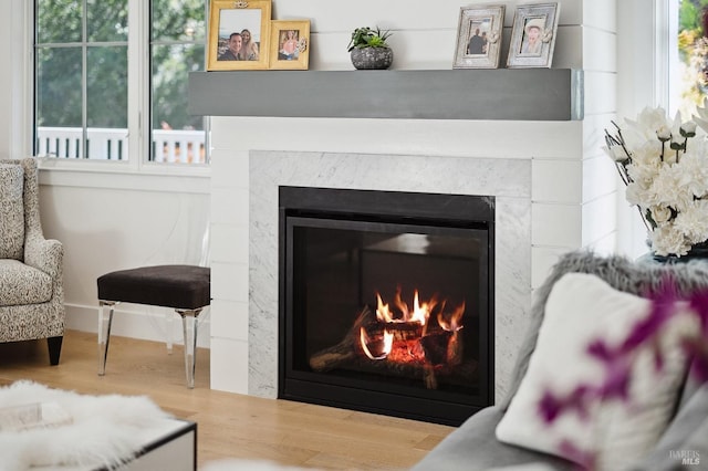 room details with wood finished floors and a premium fireplace