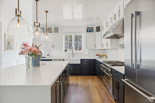 kitchen featuring light countertops, under cabinet range hood, a sink, high quality appliances, and white cabinets