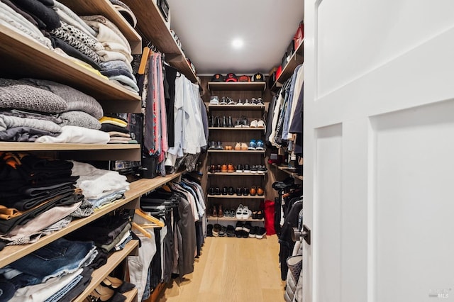 walk in closet featuring wood finished floors