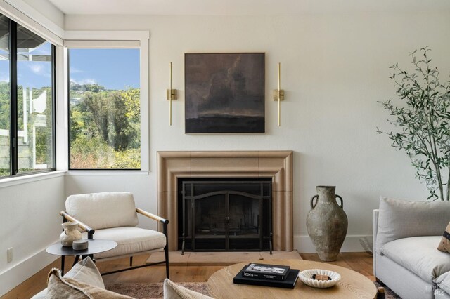 155 Hidden Valley Ln, San Anselmo, CA 94960 - living room with wood finished floors, a fireplace with flush hearth, and a wealth of natural light