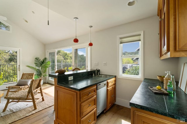 155 Hidden Valley Ln, San Anselmo, CA 94960 - kitchen featuring plenty of natural light, a sink, brown cabinetry, and dishwasher