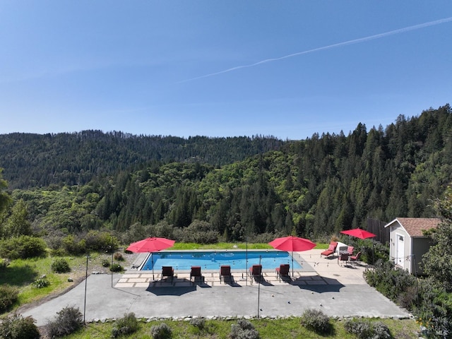 outdoor pool with a patio, an outdoor structure, a storage unit, and a wooded view