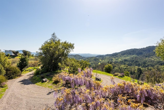 property view of mountains featuring a forest view