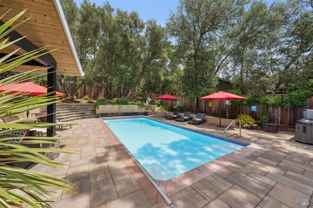 view of pool with a fenced backyard, a patio area, and a fenced in pool