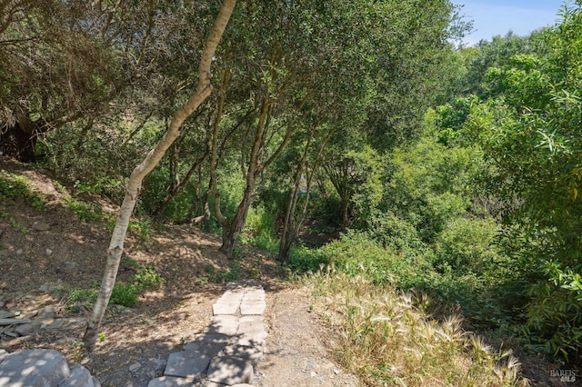 view of local wilderness featuring a wooded view