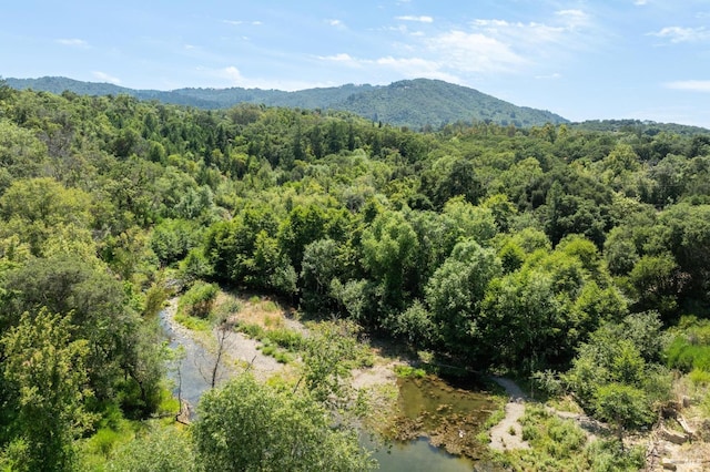 birds eye view of property featuring a wooded view and a mountain view