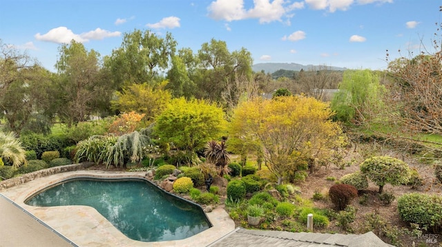 outdoor pool with a mountain view