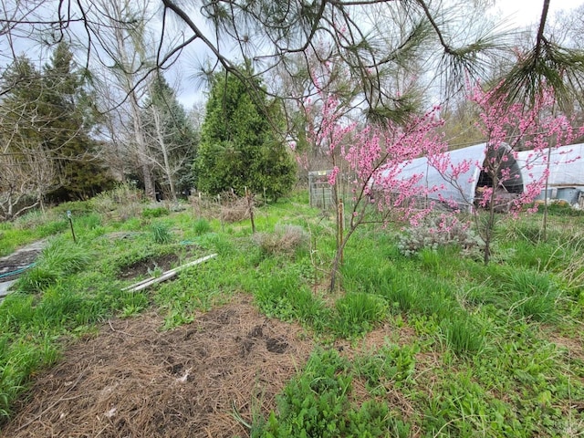 25428 Mendocino Pass Rd, Covelo, CA 95428 - view of yard