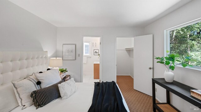 317 Olema Rd, Fairfax, CA 94930 - bedroom with a spacious closet, a closet, ensuite bathroom, and light carpet