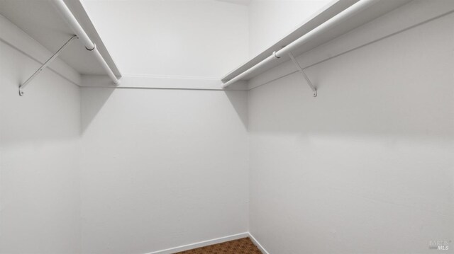 317 Olema Rd, Fairfax, CA 94930 - walk in closet with carpet floors