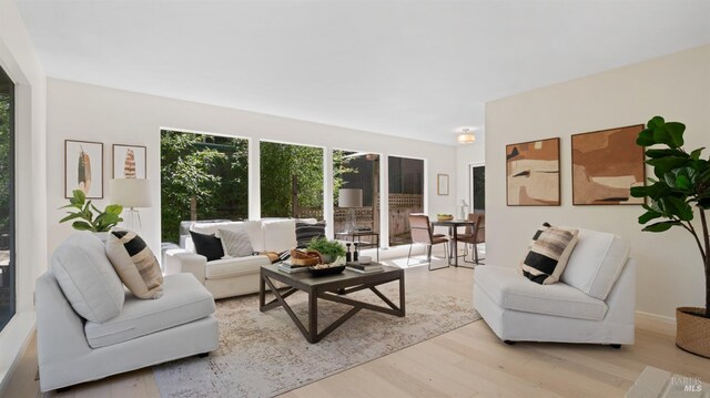 317 Olema Rd, Fairfax, CA 94930 - living room featuring light wood-style flooring