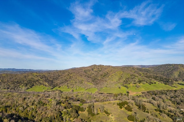 mountain view