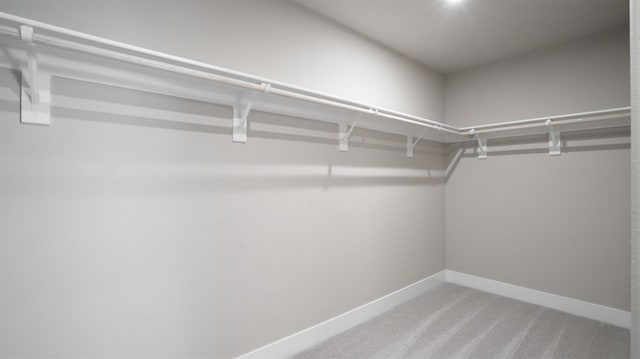 1096 Fiano Pl, Manteca, CA 95337 - spacious closet with carpet flooring