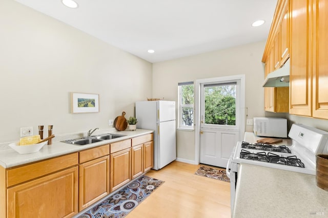 kitchen featuring white appliances, light wood-style floors, light countertops, under cabinet range hood, and a sink