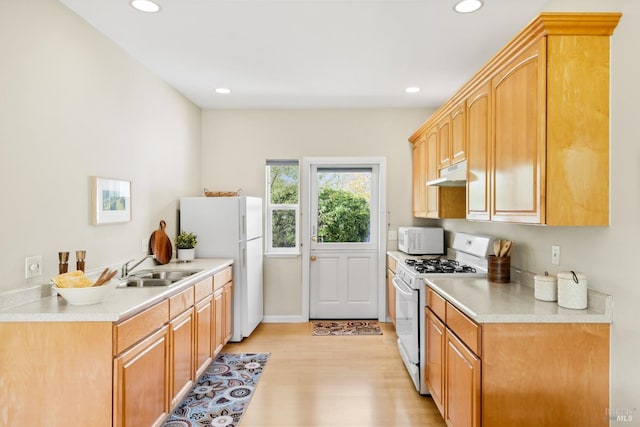 kitchen with a sink, light wood finished floors, white appliances, light countertops, and under cabinet range hood