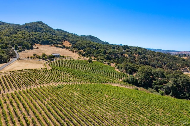 drone / aerial view featuring a mountain view and a rural view