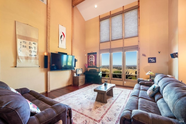living room featuring a high ceiling and wood finished floors