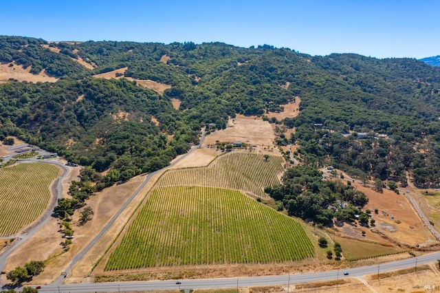 birds eye view of property featuring a mountain view and a rural view