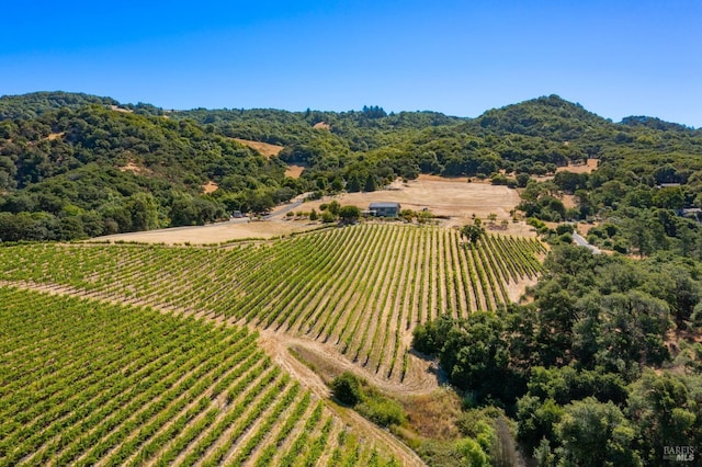 drone / aerial view with a rural view