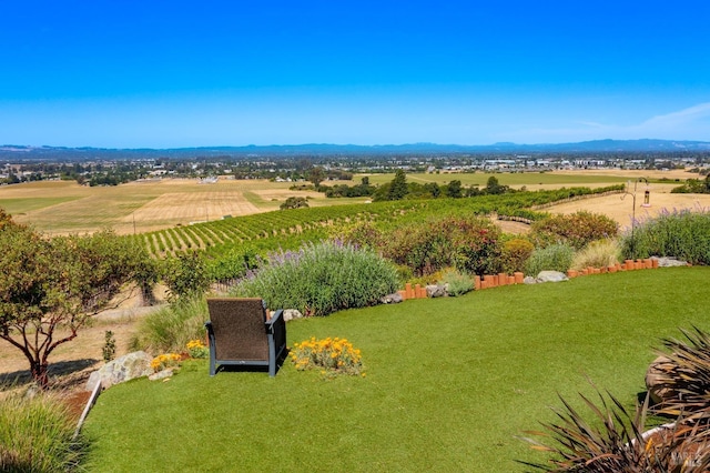 aerial view with a rural view