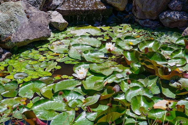 exterior details with a garden pond