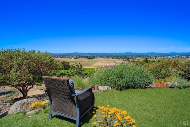 view of yard featuring a rural view