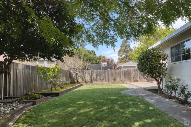 view of yard with a fenced backyard