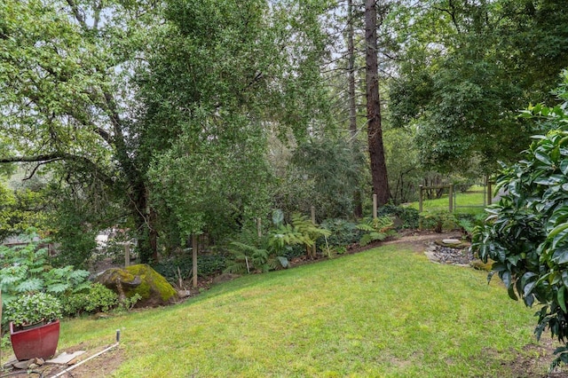 view of yard