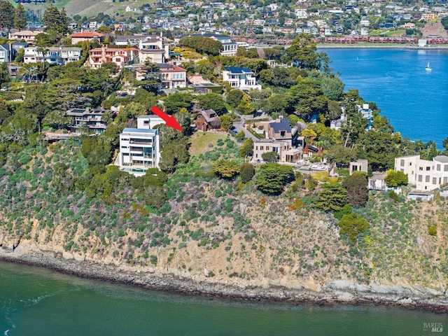 455 Belvedere Ave, Belvedere, CA 94920 - birds eye view of property with a water view