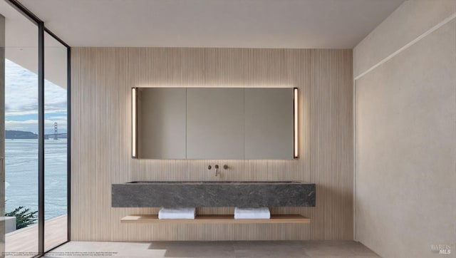 455 Belvedere Ave, Belvedere, CA 94920 - bathroom featuring floor to ceiling windows and a wealth of natural light